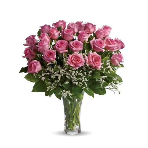 20  Pink Roses